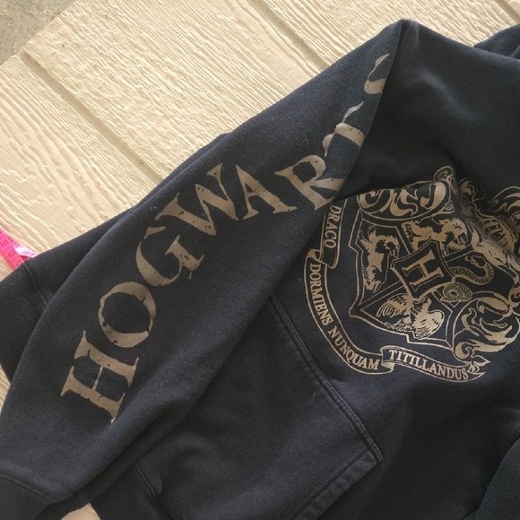 Warner Bros. Black Hoodie with Gold Emblem - Picture 6 of 8